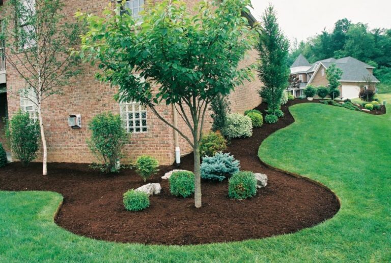Landscaper Near Me services provided by Quality Landscaping Services Garden Grove