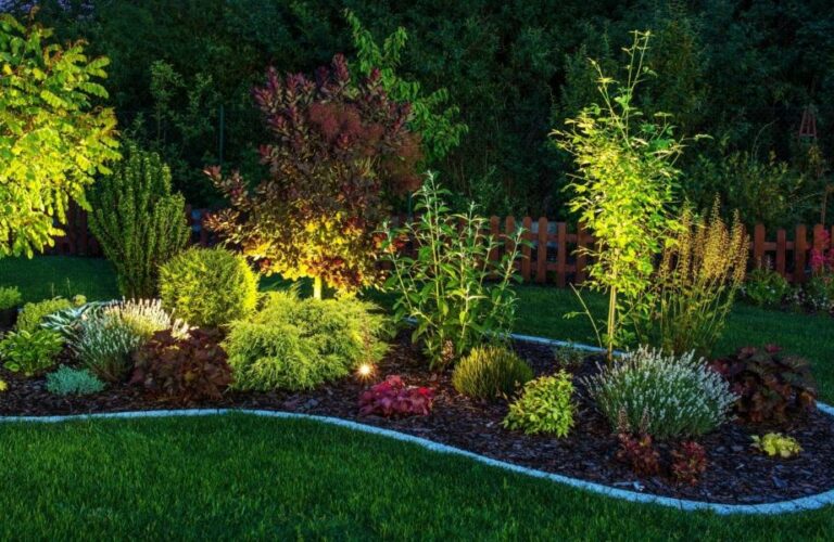 Landscaping Company services provided by Quality Landscaping Services Garden Grove